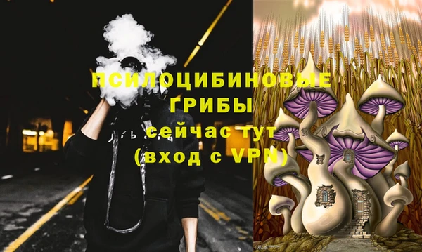 бутират Нягань