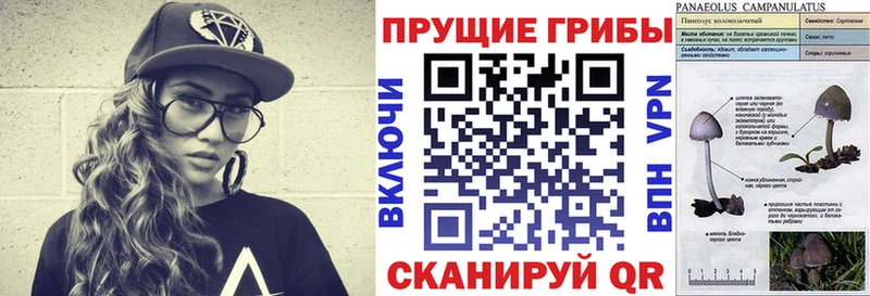 Псилоцибиновые грибы MAGIC MUSHROOMS  купить   Протвино 